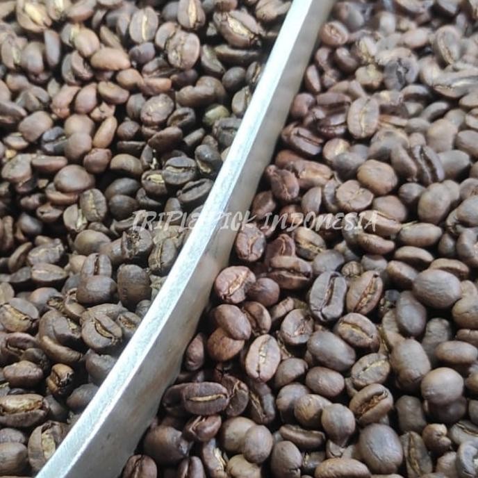 

Sale Green Bean / Biji Kopi Arabika Kerinci Kayu Aro - Full Wash Termurah