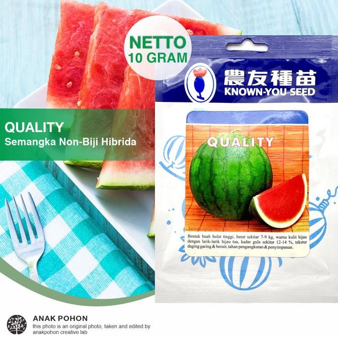 (1 PACK - 10 GRAM) Benih Semangka Merah Non Biji Seedless Quality Hibrida F1 - Known You Seed KYS mu