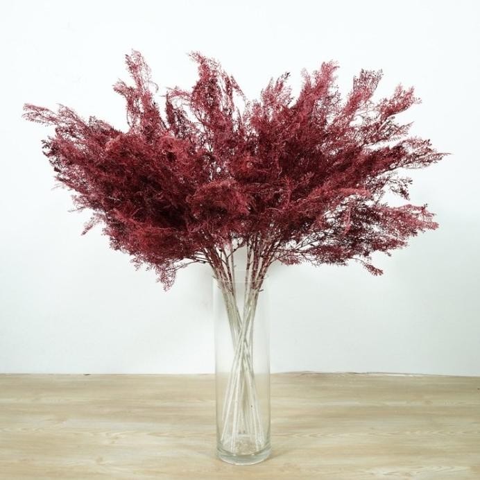 Terlaris Tanaman Hias Daun Cemara Asparagus / Bunga Artificial Smoke Bush