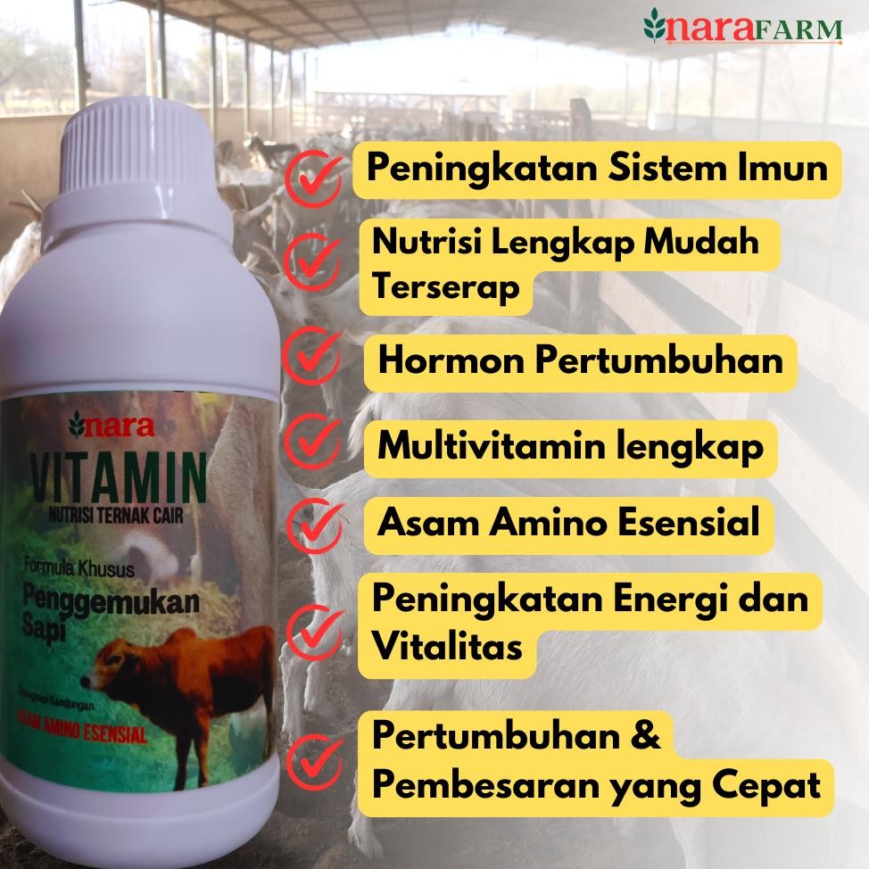 New Obat Penggemuk Sapi,Obat Cacing Sapi, Vitamin Penggemuk Sapi Paling Cepat,Jamu Sapi Penggemuk Sa