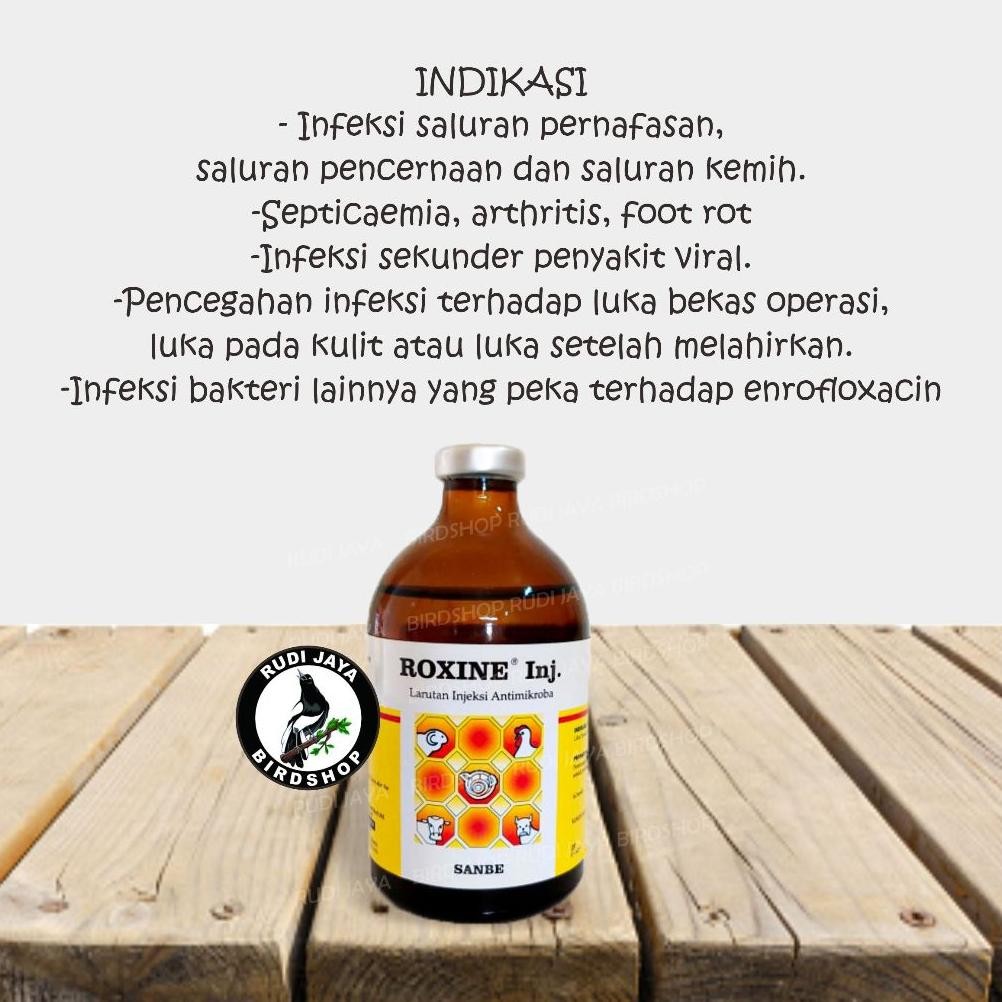 Cxv-38 Roxine 100Ml Injeksi Sanbe Obat Vitamin Hewan Ternak Sapi Kambing Domba Kerbau Babi Kuda Kuci