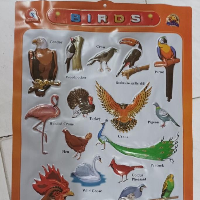

best produk] poster plastik timbul hewan burung bintang dll