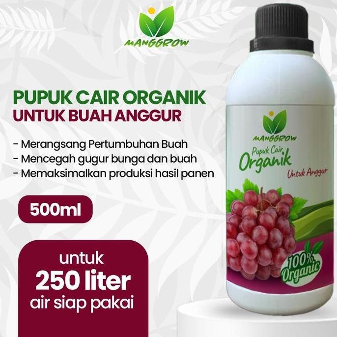 

Terlaris Manggrow Fruit - Pupuk Organik Cair Khusus Buah Anggur | Booster Anggur | Pelebat Dan Penyubur Tanaman Anggur