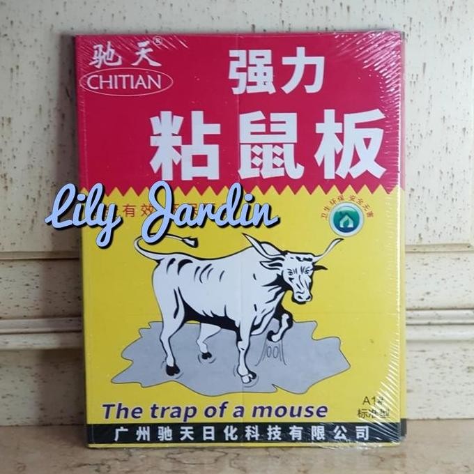 {{{{}}] Lem Tikus Trap / Papan / Mouse Glue Trap - China