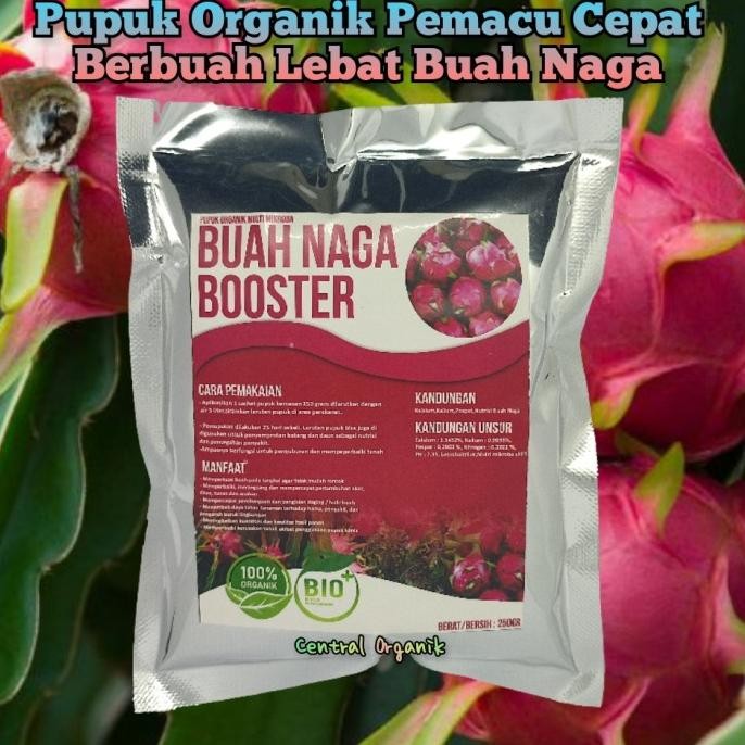 

Terlaris Pupuk Booster Buah Naga Cepat Berbuah Lebat Pelebat Organik Buah Naga
