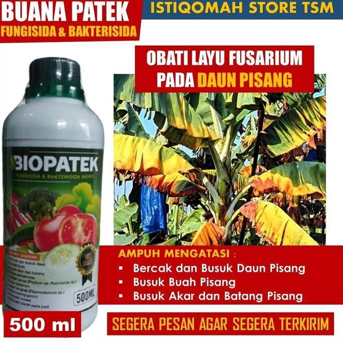 

Terlaris Hasil Lebih Optimal Dengan Biopatek: Anti Fungi, Anti Layu Fusarium Daun Pisang - Pupuk Organik Semprot Obat Pembasmi Virus Layu Kuning Daun Tanaman Pisang - Pupuk Organik Semprot Ampuh Mengatasi Layu Bercak Daun Bintik Hitam