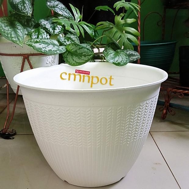 

Terlaris Pot Bunga Cjp Padi 30 Merek Citra Jaya Plastik Ukuran 30Cm