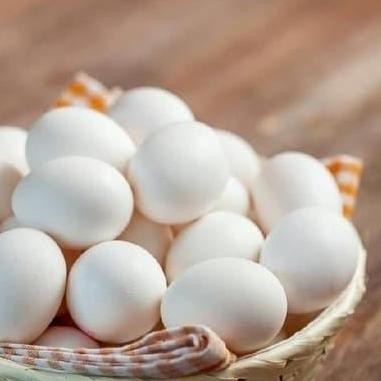 

Terlaris Telor Ayam Kampung