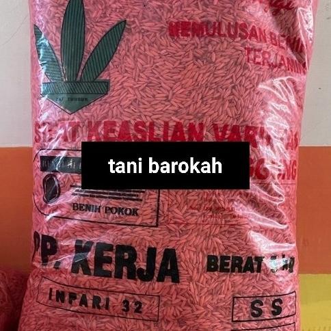 

Terlaris Benih Padi Unggul Inpari 32 Pp Kerja Kemasan 5Kg