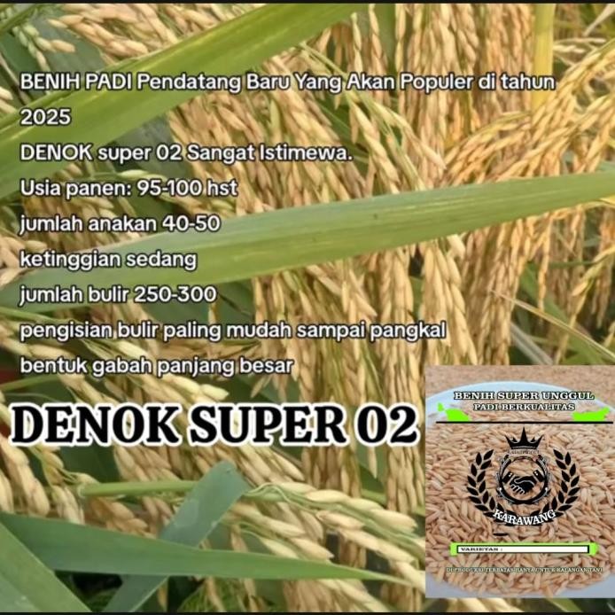 

Terlaris Benih Bibit Padi Super Unggul Denok 02