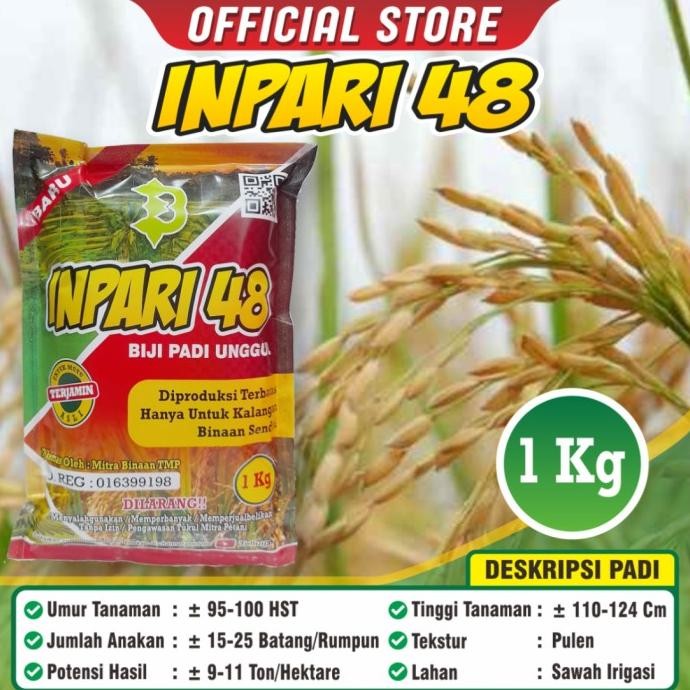 

Terlaris Benih Padi Inpari 48 Berkualitas