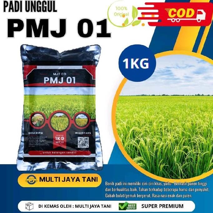 

Terlaris Benih Padi Unggul Pmj 01 Kemasan 1Kg Kualitas Premium