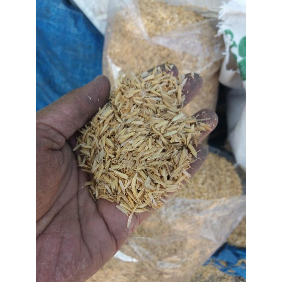 

Terlaris Sekam Murni Kulit Padi Kemasan 1 Kilogram Untuk Campuran
