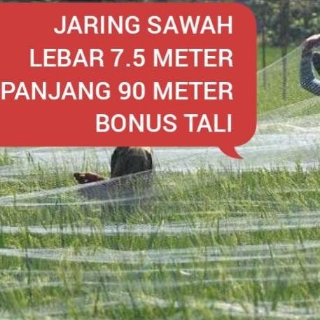 

Terlaris Jaring Burung Sawah Bonus Tali 7.5M90M 0.12 3 Inch Jaring Padi