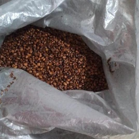 

ready stock Rijek kopi murah arabika robusta