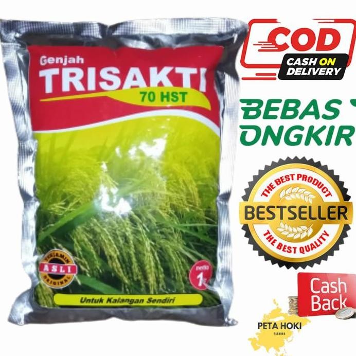 

Terlaris Benih Padi Trisakti Asli Tercepat Panen Kulit Sekam Gabah Tipis Bagus