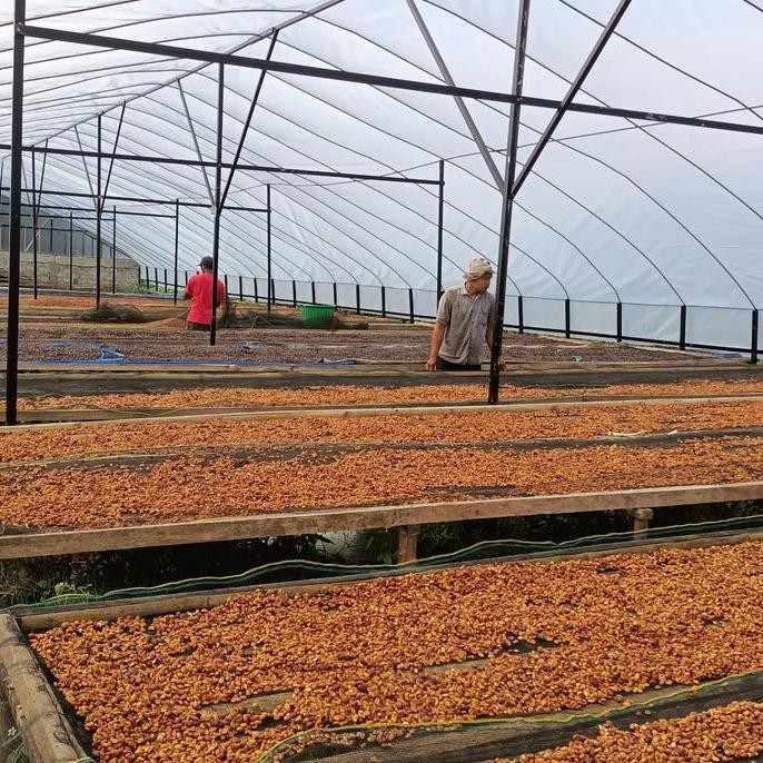 

ready stock KERINCI NATURAL Biji Kopi Arabika Specialty Coffee Beans Single Origin