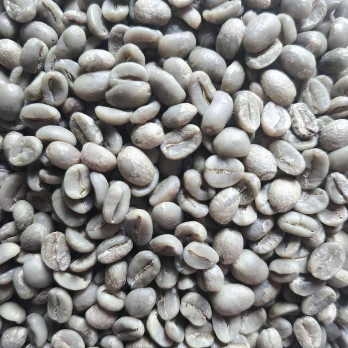 

ready stock Biji Kopi Mentah (GB) Yunnan Highlands SHG