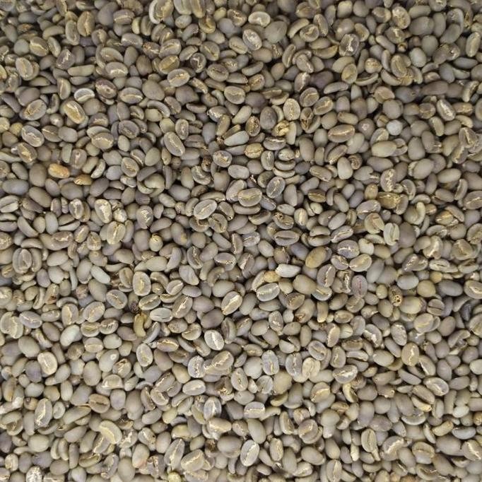 

ready stock GREEN BEAN KOPI MENTAH ARABIKA TORAJA KALOSI SEMI WASH GRADE 1 - 1KG