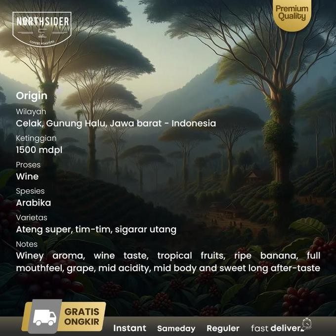 

ready stock Northsider Kopi arabika Gunung Halu Wine Fermented coffee