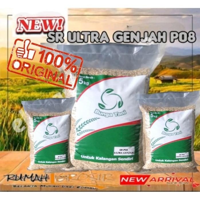 

Terlaris [Rame!] Benih Padi New Sr P08 Ultra Genjah Terbaru 5Kg -