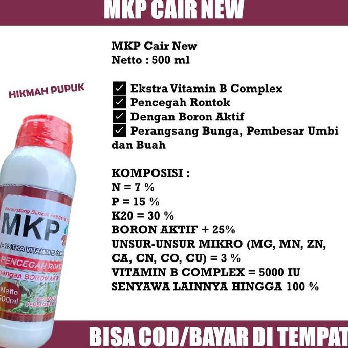 

Terlaris Pupuk Pembesar Buah Labu Kuning Biar Berbuah Banyak Mkp Cair New Pupuk Organik Untuk Buah Labu Kuning Paling Laris - Obat Cair Semprot Pelebat Buah Labu Kuning Terlaris