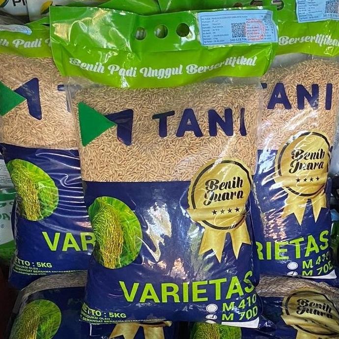 

Terlaris Bibit Padi M70D M70 Dari M Tani (-+85 Hari) Panen Tercepat 5 Kg