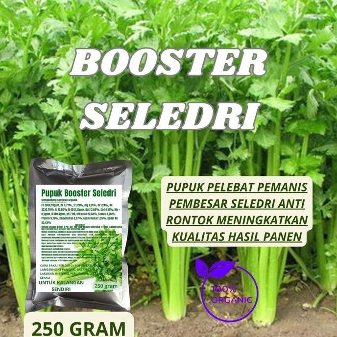 

Terlaris Pupuk Boster Seledri Super Organik Penyubur Pelebat Buah Dan Anti Rontok 250 Gr