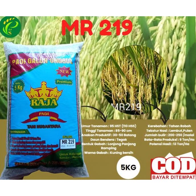 

Terlaris Benih Padi Mr 219 5Kg
