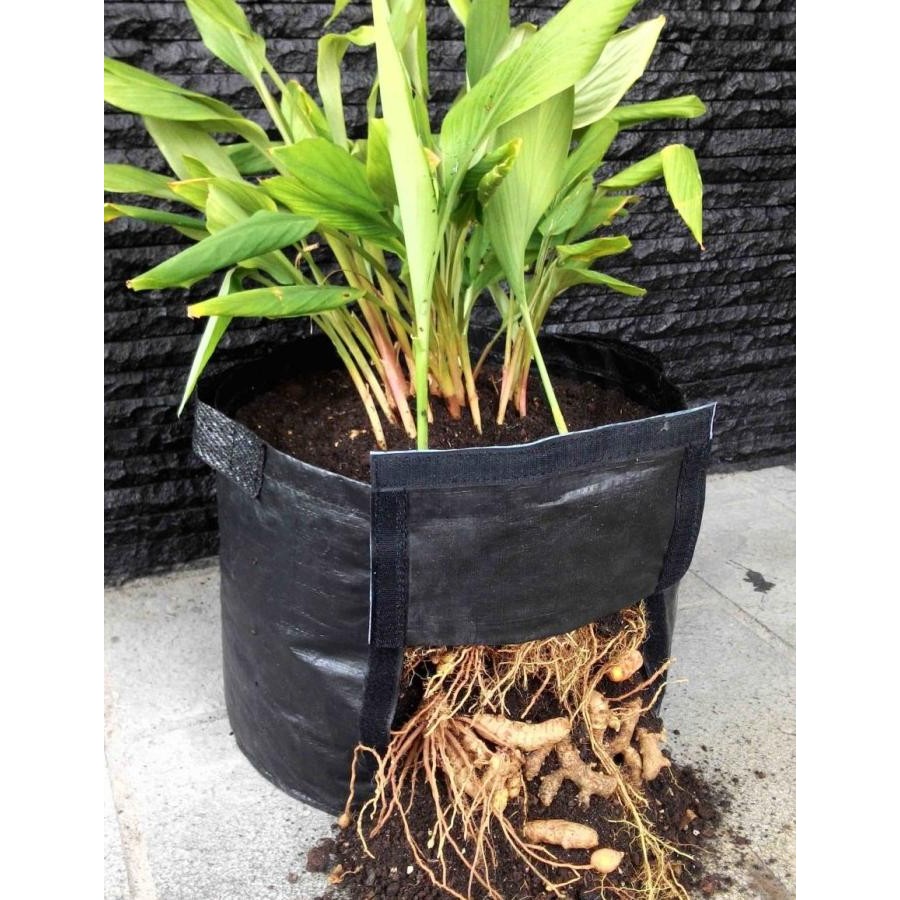 

Terlaris Polybag Rhizoma Planterbag Pot Bibit Tanaman Rimpang Jahe Kunyit Planter Bag Easygrow