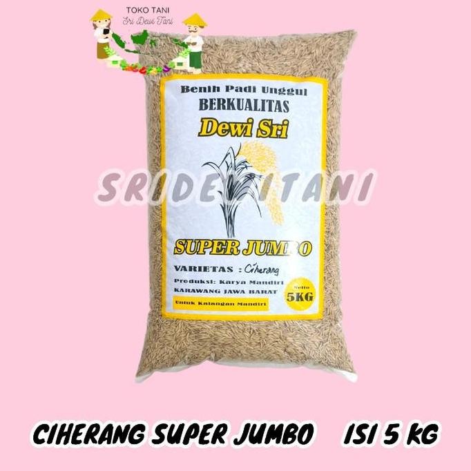 

Terlaris Bibit Padi Ciherang 5 Kg Super Jumbo Benih Unggul Berkualitas Idaman Para Petani Unggul Tanaman