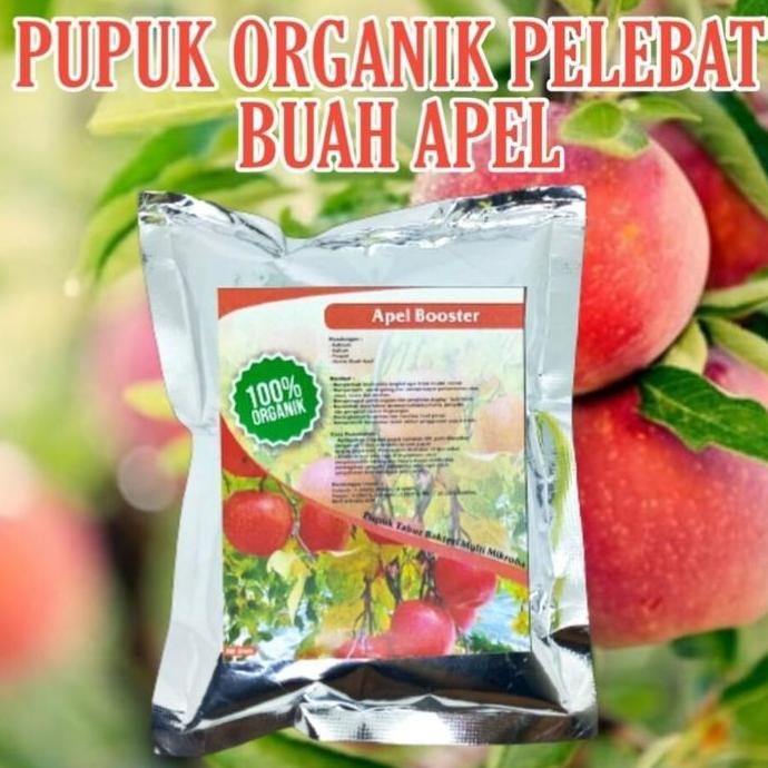 

Terlaris Pupuk Organik Pelebat Buah Apel Booster Apel Terbaik Kemasan 250Gram