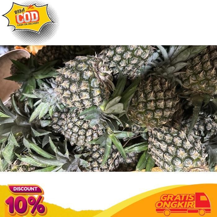 

Flash Sale Buah Nanas Muda Fresh 1 Pc