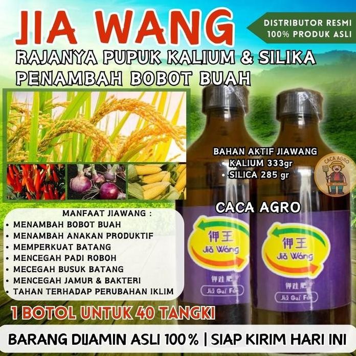 

Terlaris Jia Wang / Jiawang Rajanya Pupuk Kalium Silika Murni Untuk Menambah Bobot Buah, Tambah Anakan Padi, Atasi Padi Roboh Dan Pohon Tanaman Lebih Kuat Jamur