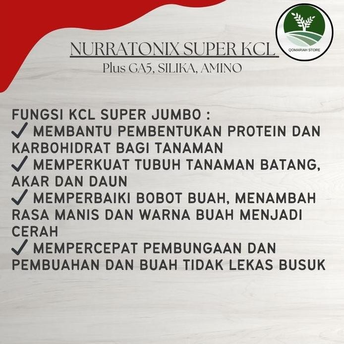 

Terlaris Obat Pengisian Buah Bulir Padi Paling Bagus - Nurratonixbio Kcl 500Ml Obat Semprot Pelebat Penyubur Tanaman Padi Paling Manjur Rekomended