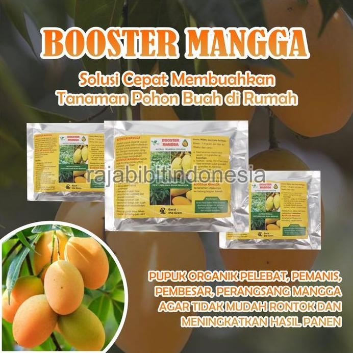 

Terlaris Pupuk Booster Organik Mangga Agar Cepat Berbuah Lebat