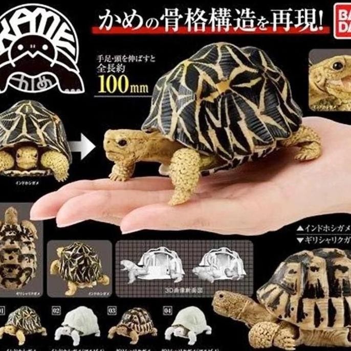 Bandai Gashapon Kame Tortoise Turtle Figure Kura-Kura Darat SET of 4pc