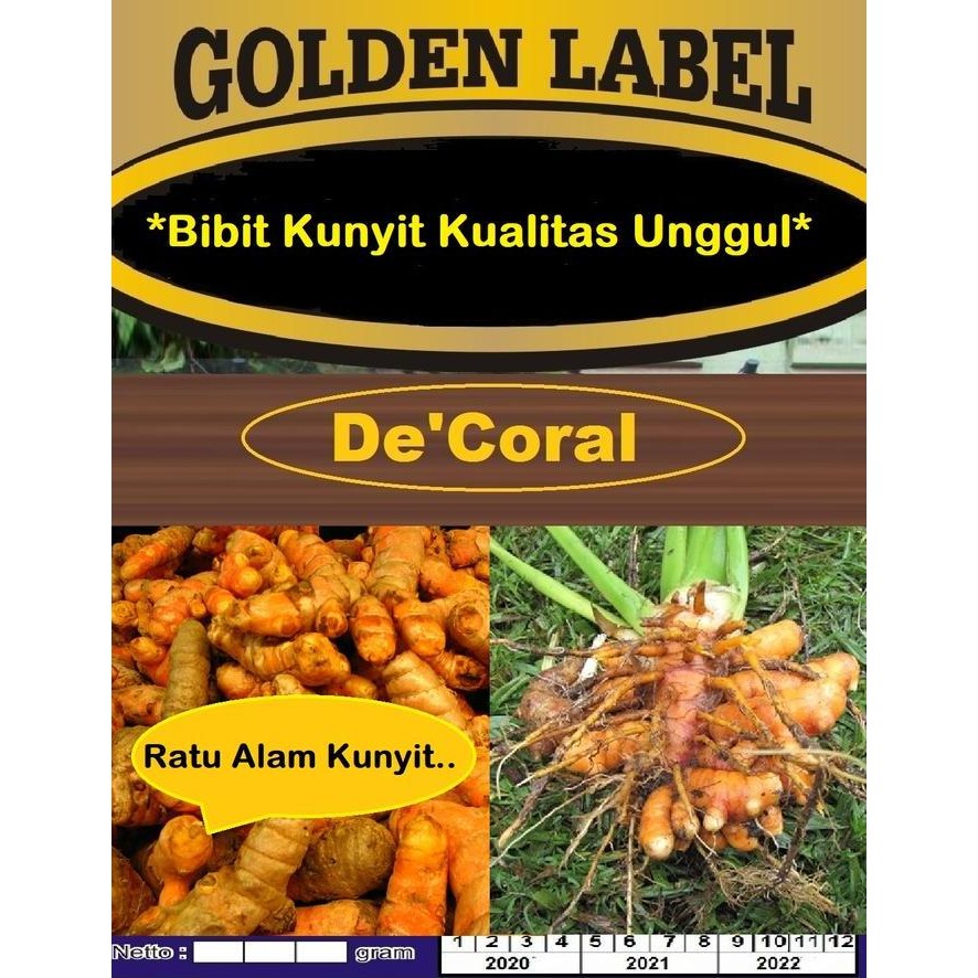 

Terlaris Bibit Kunyit Kulitas Unggul Ratu Alam Kunyit| Benih Kunyit