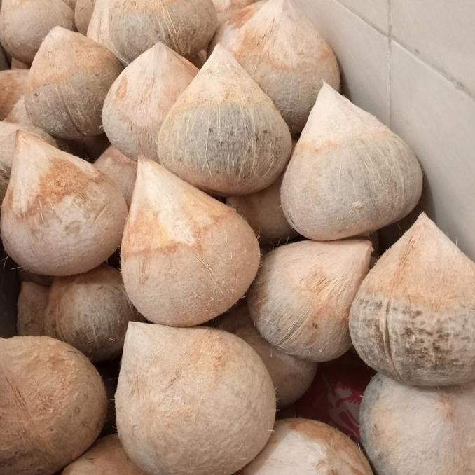 

KELAPA KOPYOR SUPER