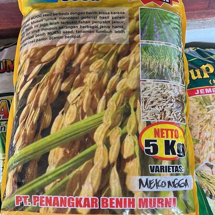 

Terlaris Benih Padi Mekongga Premium Kemasan 5Kg