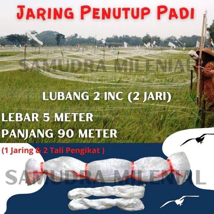 

Terlaris Jaring Emprit / Jaring Pengaman Padi Sawah Bonus 2 Tali Nilon Lembut