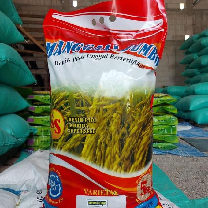 

Terlaris Benih Padi Inpari 43 5 Kg Bibit Padi Unggul