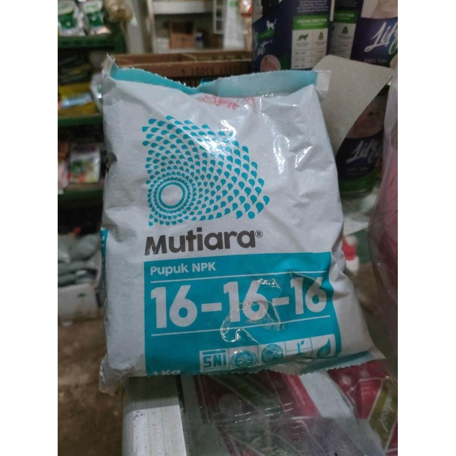 

Terlaris Pupuk Npk Mutiara 16 16 16 Original Pabrik 1 Kg