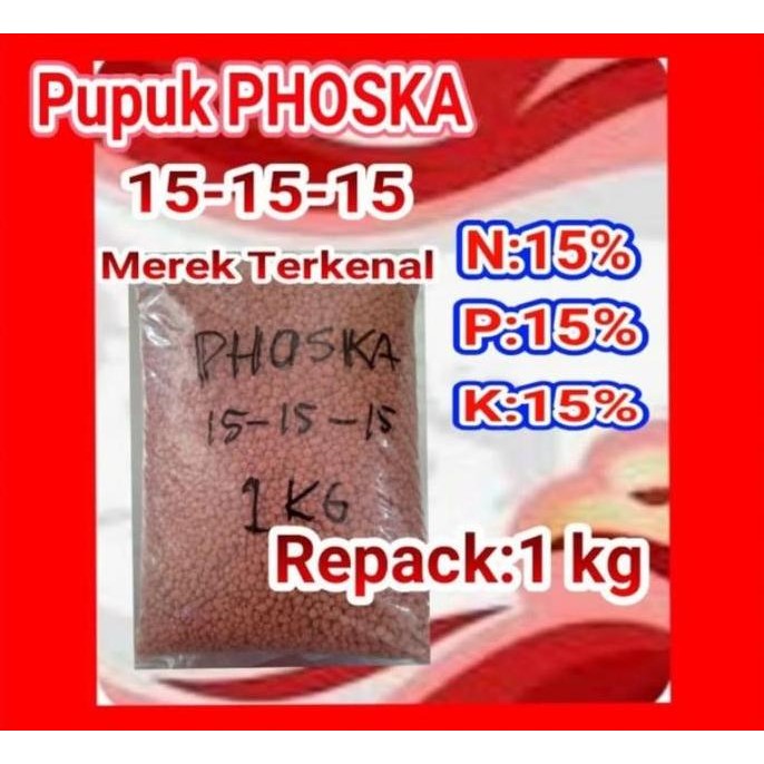 

Terlaris Repack Npk 15 Phonska 1Kg Untuk Menyuburkan Tanaman Petrokimia Gresik