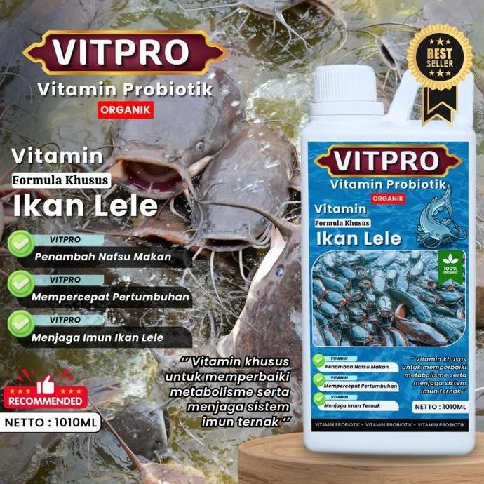 

Terlaris Vitpro Ikan Lele, Vitamin Ikan Lele Agara Cepat Besar 1010 Ml Probiotik Pemacu Pertumbuhan Ikan Lele Vitamin Pemacu Tumbuh Besar Dan Menjaga Kesehatan Ikan Lele Dari Jamur Dan Lainya