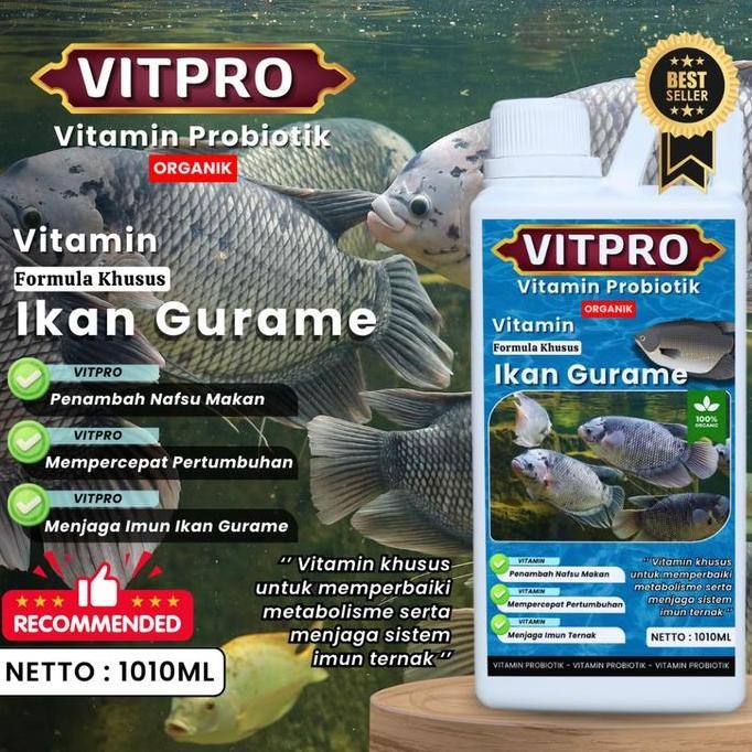

Terlaris Vitpro Ikan Gurame Vitamin Ikan Gurame, Vitamin Probiotik Ikan Gurame Cepat Besar, Penambah Napsu Makan, Anti Parasit, Panen Lebih Cepat 1010Ml