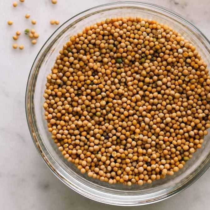 

@=@=@=@=] Yellow Mustard Seeds 100gram / mustard seeds / biji sawi kuning