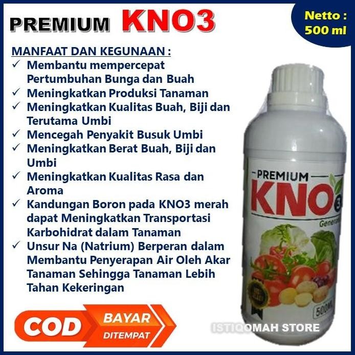 

Terlaris Premium Kno3 Generatif 500Ml Pupuk Tanaman Jagung Agar Berbuah Lebat Dan Berat Semua Jenis Jagung - Pupuk Npk Cair Perangsang Buah Tanaman Jagung Terbaik - Pupuk Yang Bagus Untuk Tanaman Jagung Paling Manjur - Pupuk Pelebat Jagung Berbobot Berat