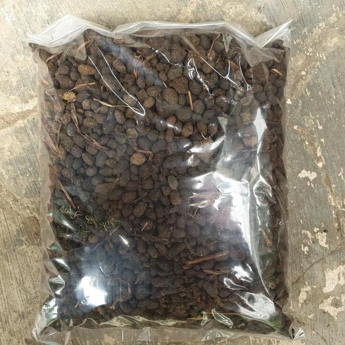 

Terlaris Pupuk Kandang Kambing Kasar 1 Kg