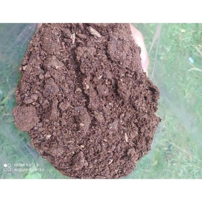 

Terlaris Allshop1- Pupuk Kandang Ayam/ Kohe Ayam Sudah Di Fermentasi 1Kg